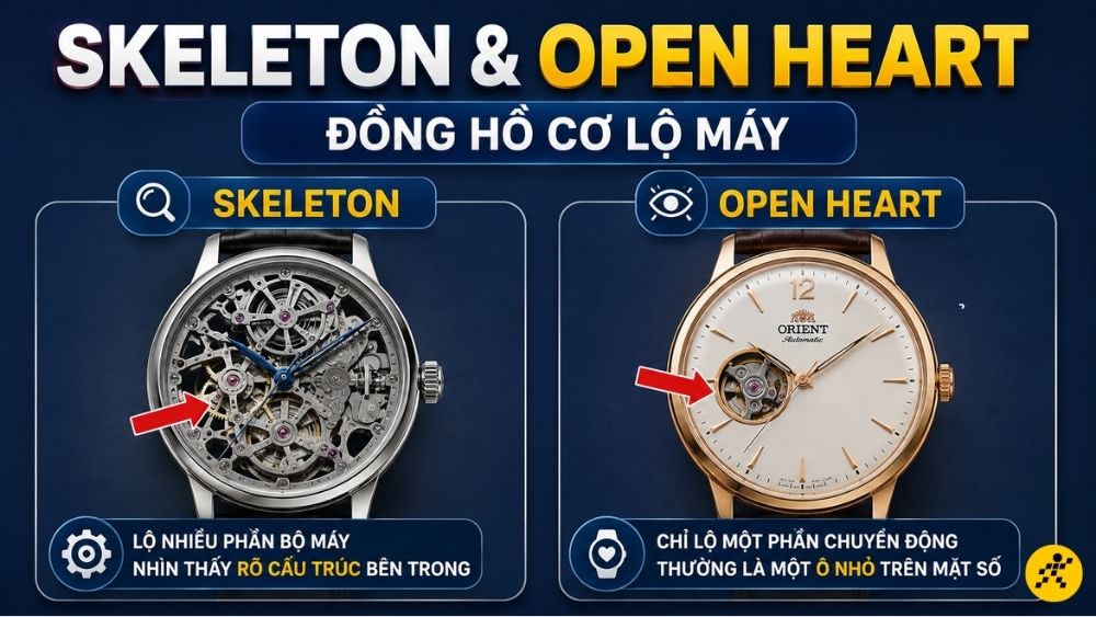 Skeleton và Open Heart Skeleton và Open Heart