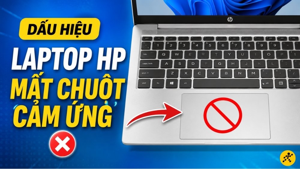 Dấu hiệu laptop HP bị mất chuột cảm ứng Dấu hiệu laptop HP bị mất chuột cảm ứng