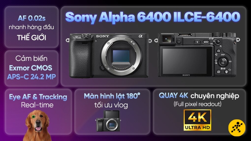 Nhóm A6000 như Alpha 6400 rất phù hợp cho người mới bắt đầu Nhóm A6000 như Alpha 6400 rất phù hợp cho người mới bắt đầu