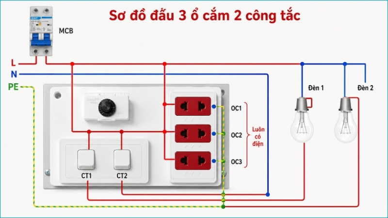 Ba ổ cắm nhận điện song song, còn hai công tắc điều khiển riêng từng bóng đèn