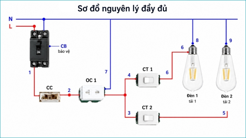 Dây pha được chia đến ổ cắm và hai công tắc, còn dây trung tính đi trực tiếp đến các tải