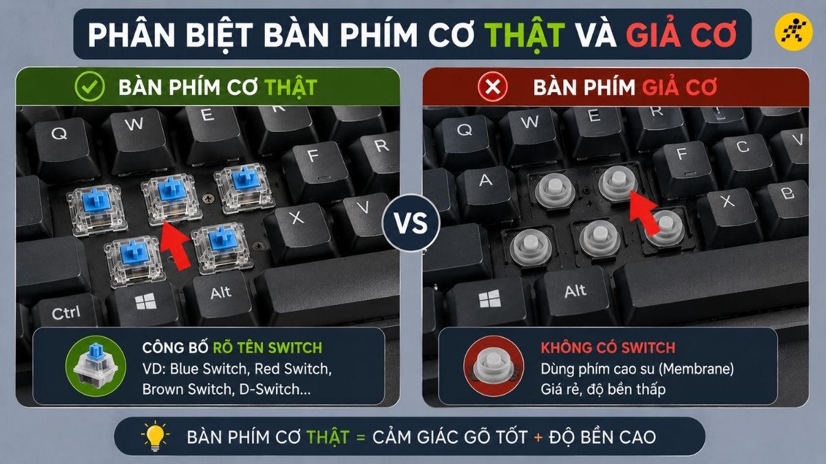 Ph&acirc;n biệt b&agrave;n ph&iacute;m cơ THẬT v&agrave; GIẢ CƠ
