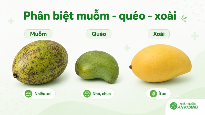 Phân biệt quả muỗm dựa trên các đặc điểm vỏ, thịt quả Phân biệt quả muỗm dựa trên các đặc điểm vỏ, thịt quả