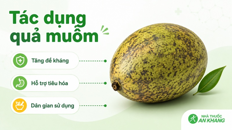 Quả muỗm có nhiều tác dung như kích thích vị giác, tạo cảm giác ngon miệng Quả muỗm có nhiều tác dung như kích thích vị giác, tạo cảm giác ngon miệng