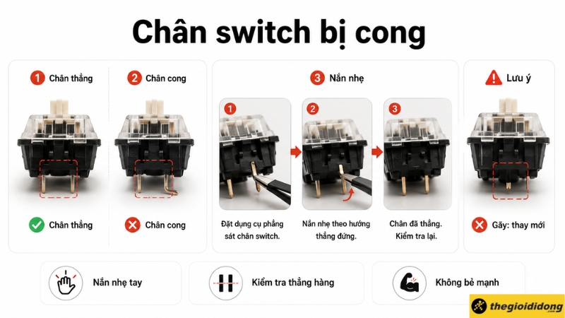 C&aacute;ch xử l&yacute; ch&acirc;n switch bị cong bằng nh&iacute;p nắn thẳng