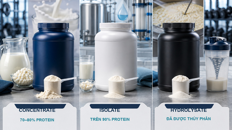 Các loại whey và thành phần dinh dưỡng Các loại whey và thành phần dinh dưỡng