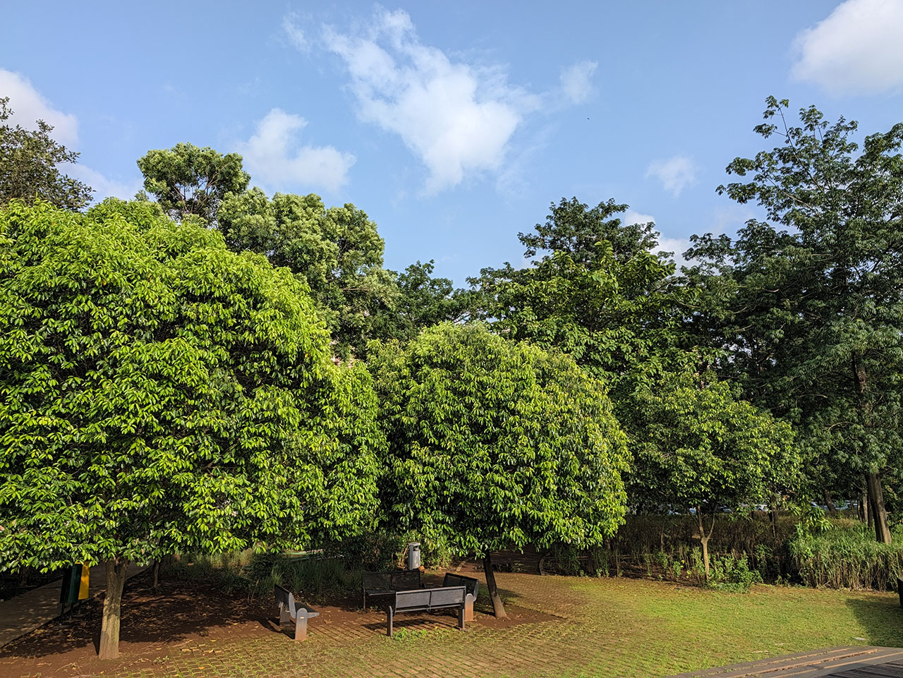 Trên tay Google Pixel 11 Pro