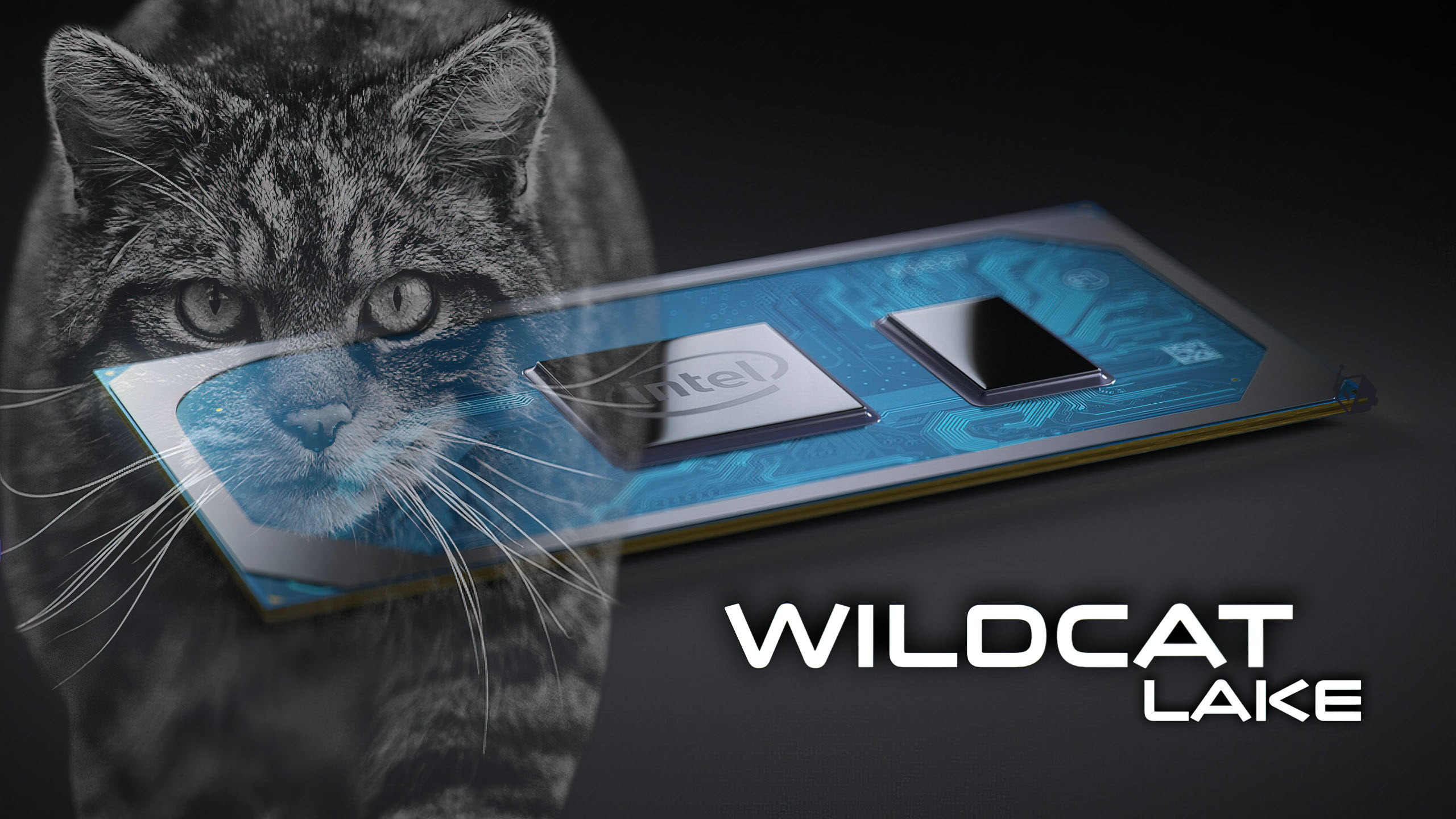 Lý Do Nên Sở Hữu Ngay Laptop Chạy Chip Wildcatlake