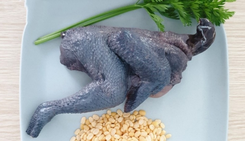 Gà ác là thực phẩm giàu dinh dưỡng cho trẻ Gà ác là thực phẩm giàu dinh dưỡng cho trẻ
