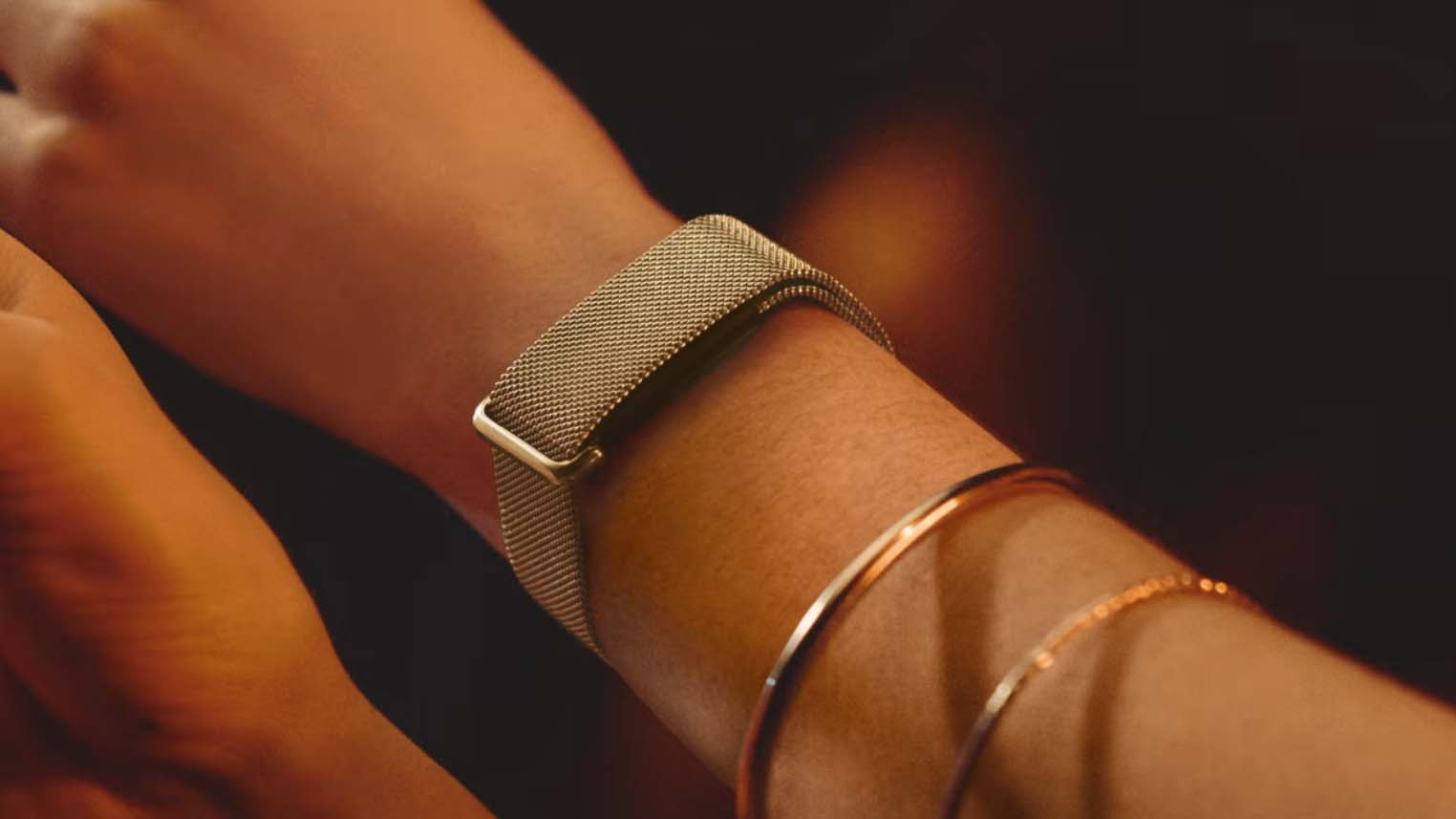 Google Fitbit Air Metal Mesh Band