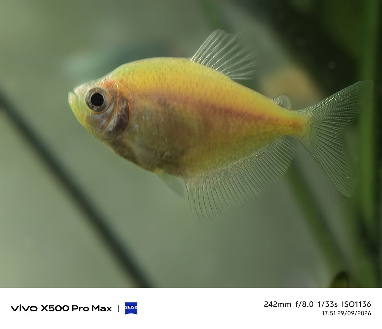 Đánh giá vivo X500 Pro Max Đánh giá vivo X500 Pro Max