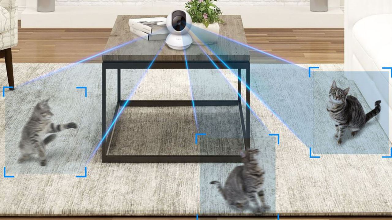 Đi Làm Vẫn Biết Boss Đang Làm Gì: Khám Phá Camera Quan Sát Thú Cưng Giá Từ 65.000 Đồng/Tháng