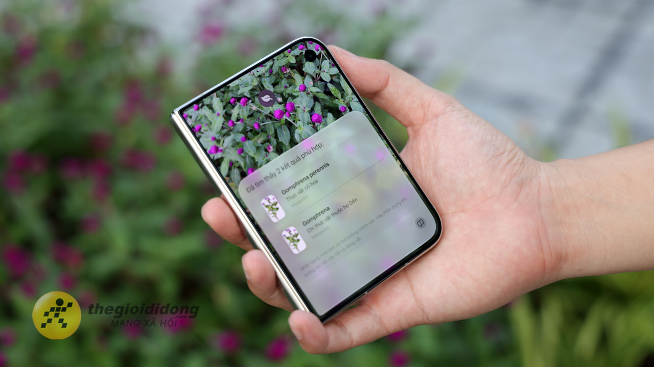 So Sánh Iphone Duo Và Pixel 11 Pro Fold