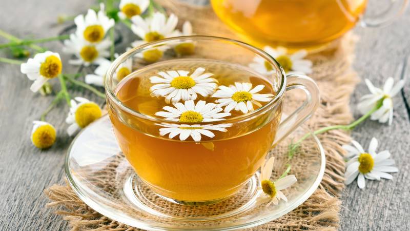 Trà hoa cúc có tính kháng viêm và làm dịu vết loét miệng