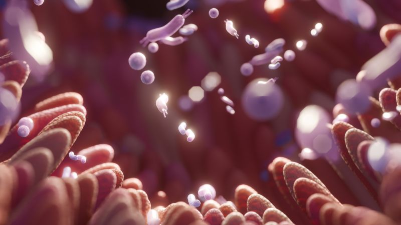 Loạn khuẩn đường ruột là tình trạng vi khuẩn ở hệ tiêu hóa mất cân bằng