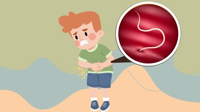 Người là vật chủ chính của giun tóc Người là vật chủ chính của giun tóc