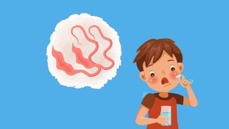 Nhiễm giun tóc thường được điều trị nội khoa bằng thuốc Nhiễm giun tóc thường được điều trị nội khoa bằng thuốc
