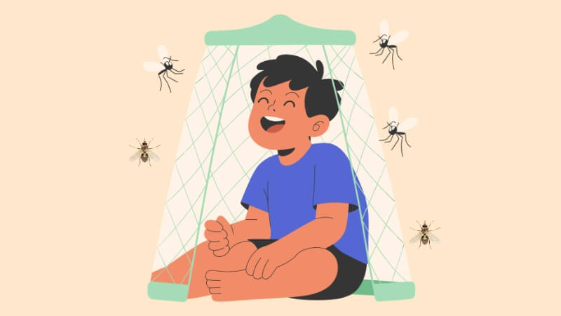 Bạn nên sử dụng màn, lưới chống côn trùng để phòng ngừa nhiễm giòi maggot Bạn nên sử dụng màn, lưới chống côn trùng để phòng ngừa nhiễm giòi maggot
