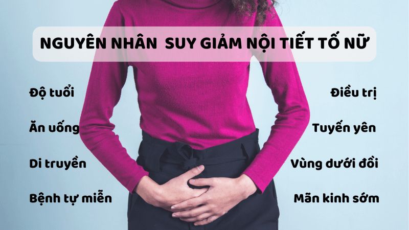 Nội tiết tố nữ giữ vai trò điều hòa, phát triển sinh dục và các chức năng sinh lí Nội tiết tố nữ giữ vai trò điều hòa, phát triển sinh dục và các chức năng sinh lí