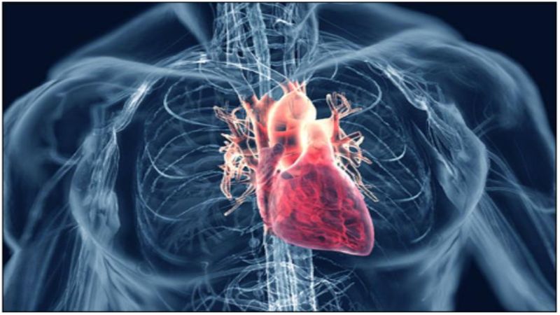 Cuồng nhĩ là một rối loạn nhịp trên thất