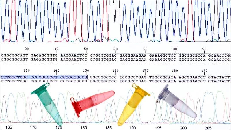 Xét nghiệm di truyền còn giúp sàng lọc bệnh bò điên cho gia đình của người bệnh Xét nghiệm di truyền còn giúp sàng lọc bệnh bò điên cho gia đình của người bệnh