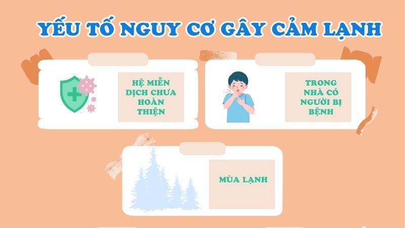 Có nhiều yếu tố có thể khiến trẻ sơ sinh bị nhiễm cảm lạnh