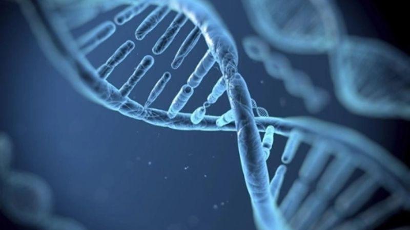 Tế bào trong mô vú có đột biến ADN được cho là nguyên nhân gây ung thư vú