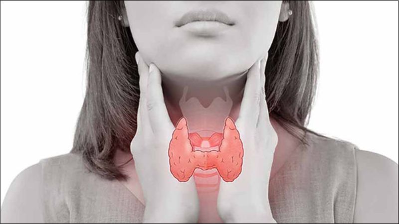 Thiếu selen có thể gây rối loạn chức năng tuyến giáp