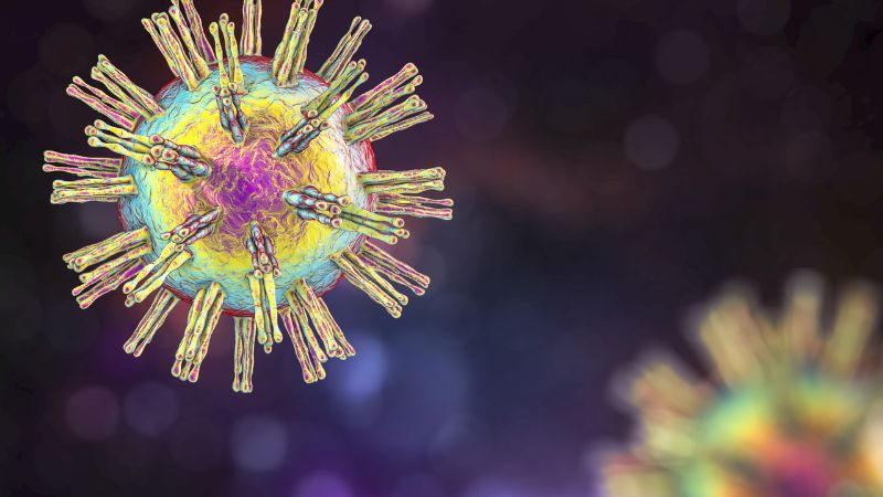 Bệnh herpes môi thường do virus Herpes Simplex (HSV) 1 gây ra Bệnh herpes môi thường do virus Herpes Simplex (HSV) 1 gây ra