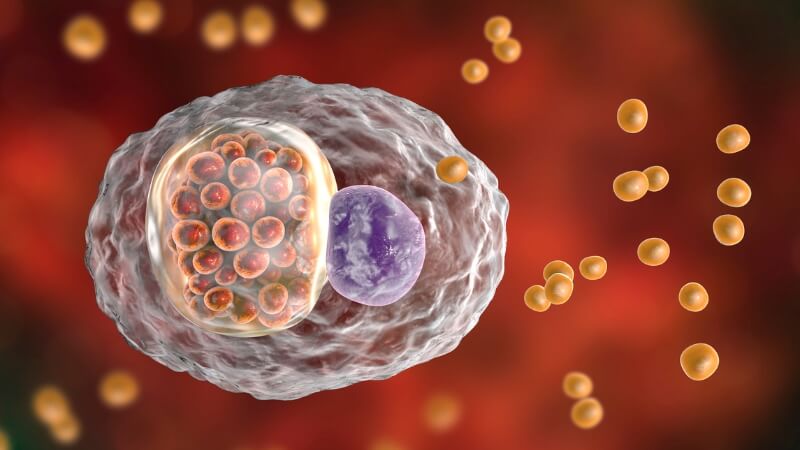 Chlamydia là nguyên nhân phổ biến gây viêm mào tinh hoàn Chlamydia là nguyên nhân phổ biến gây viêm mào tinh hoàn