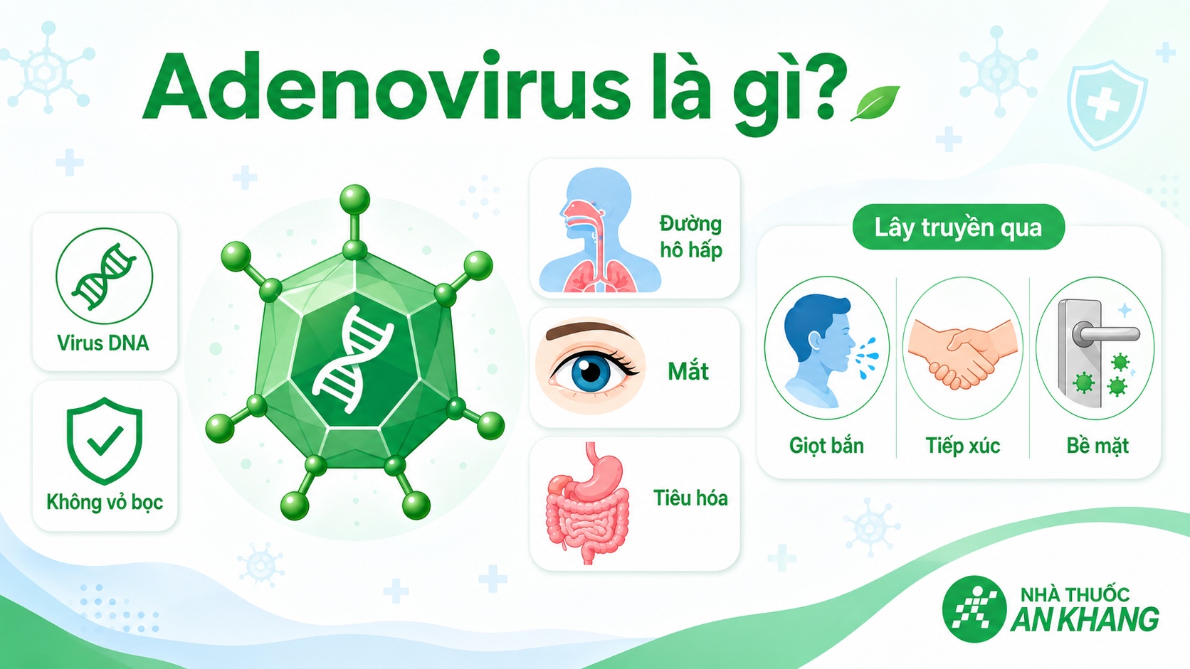 Adenovirus có thể gây nhiễm trùng đường hô hấp, tiêu hóa và mắt, đồng thời lây lan qua giọt bắn, tiếp xúc và bề mặt nhiễm virus.