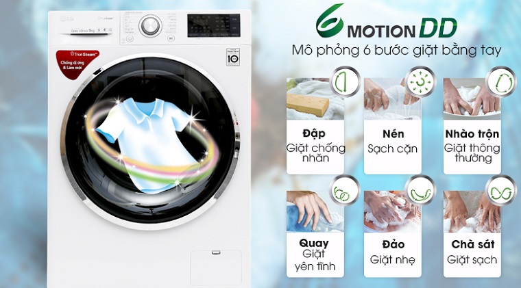 6 bước trong chu trình 6 Motion DD