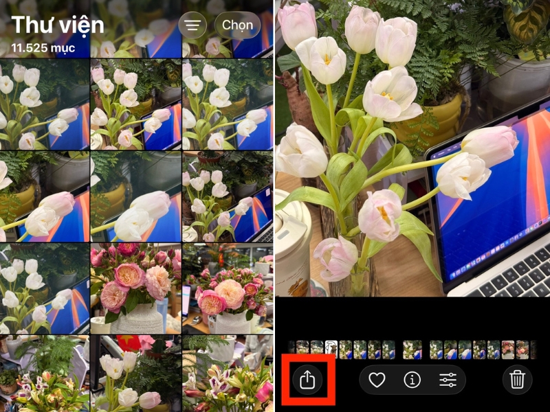 Nhấn biểu tượng Chia sẻ
