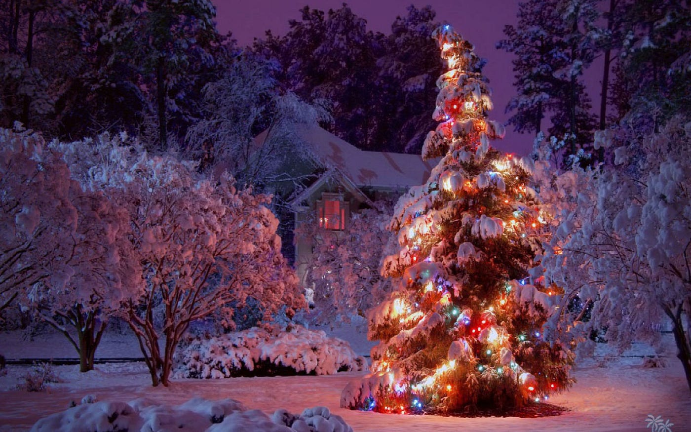 Khung cảnh lung linh huyền ảo của đêm Noel