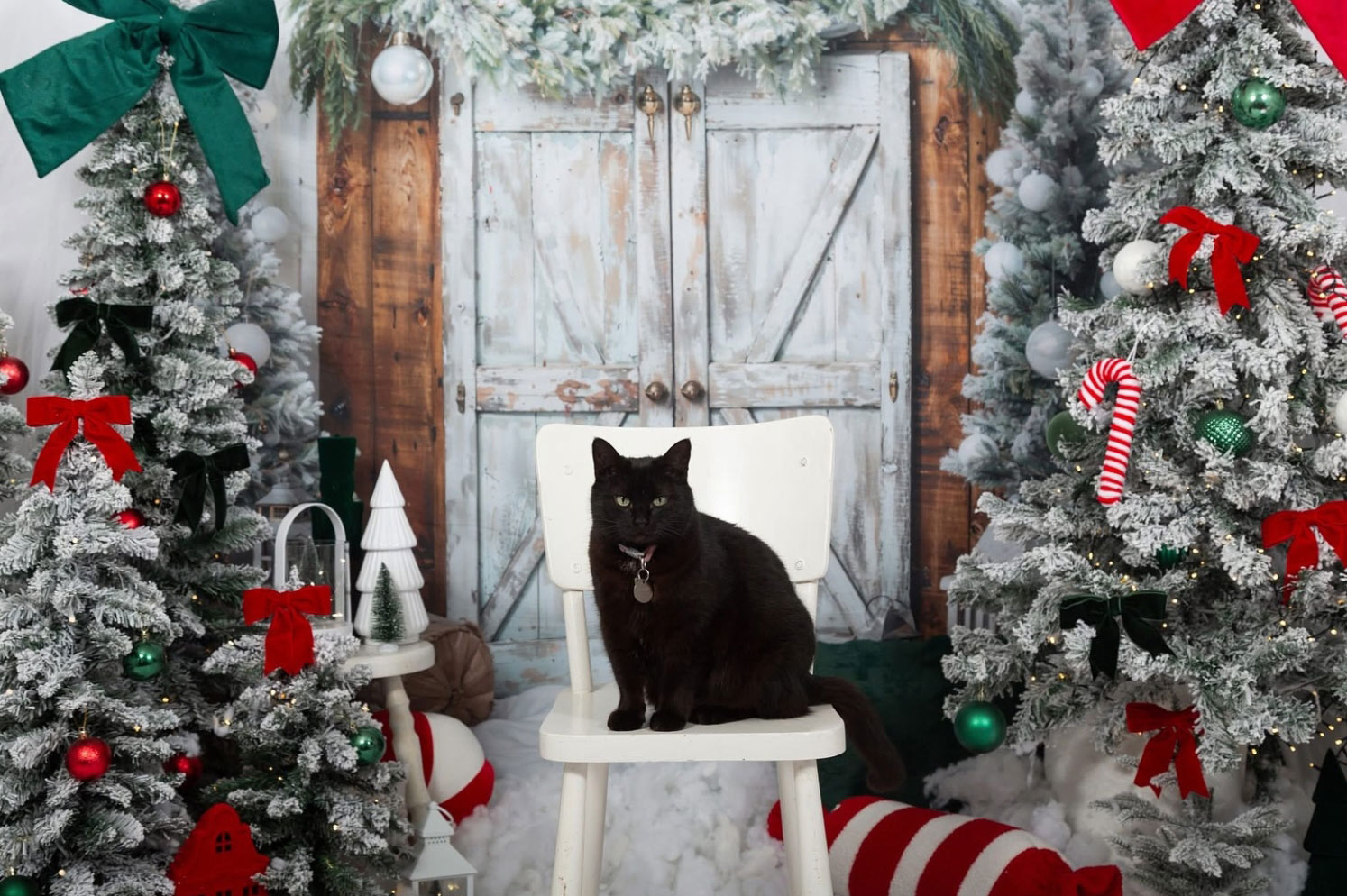 Khung cảnh lung linh huyền ảo của đêm Noel