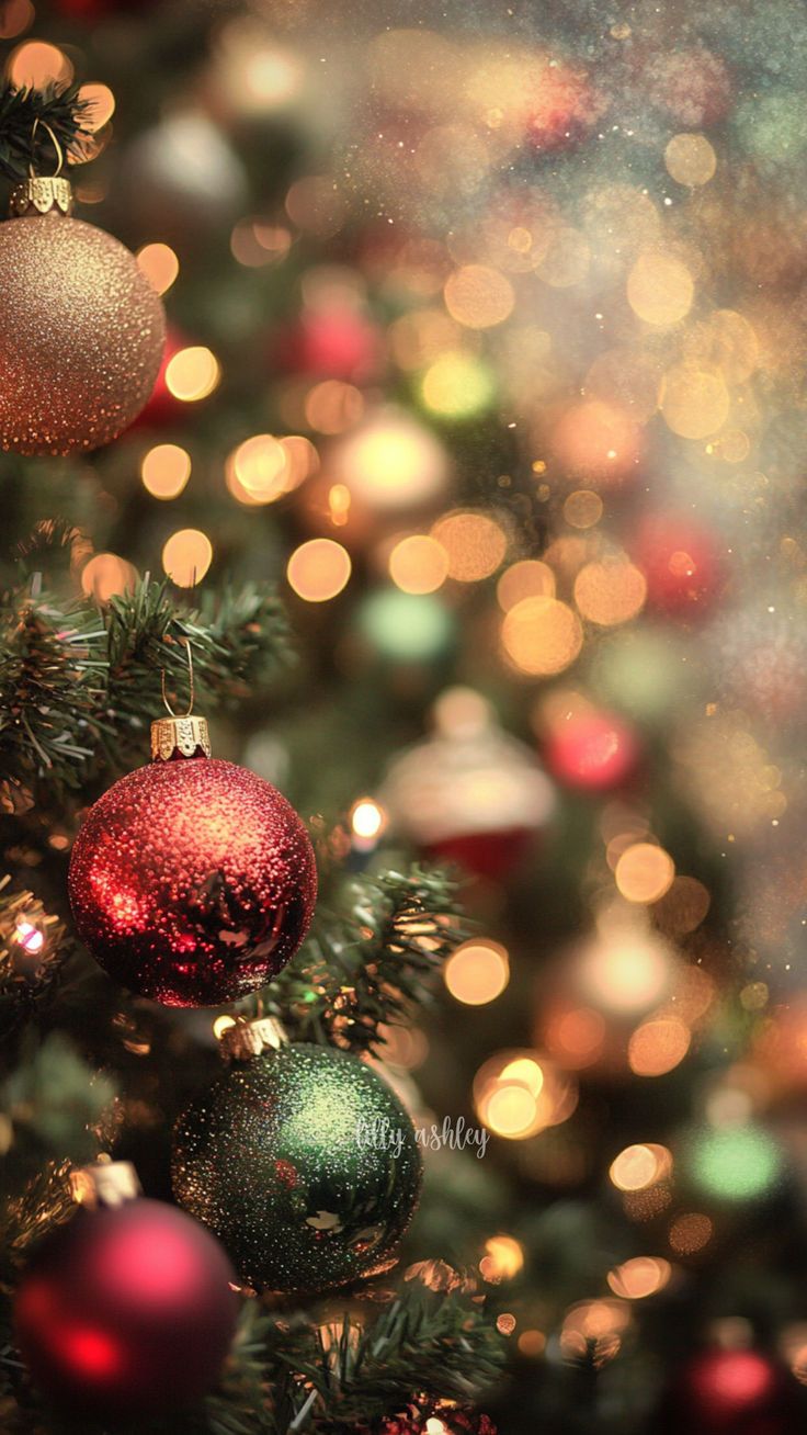 Thay áo mới cho dế yêu với hình nền Noel ấn tượng