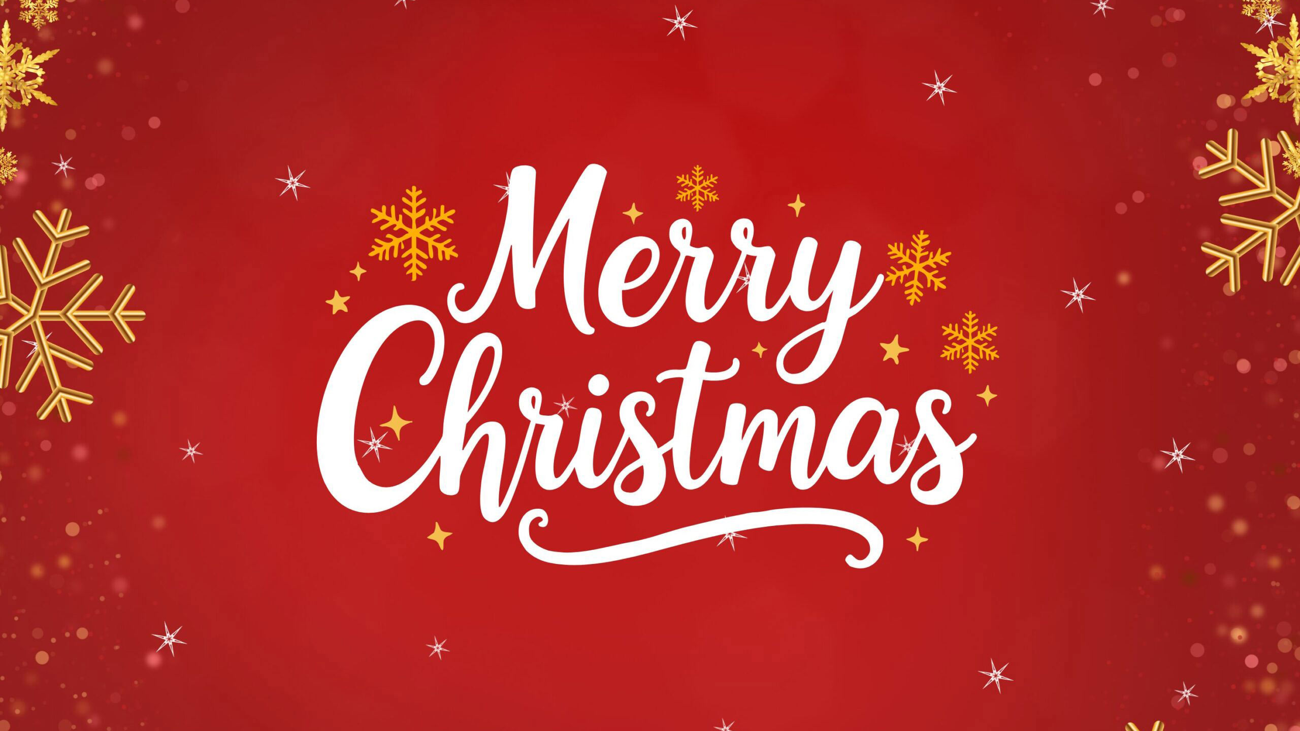 Không gian làm việc tràn ngập không khí lễ hội