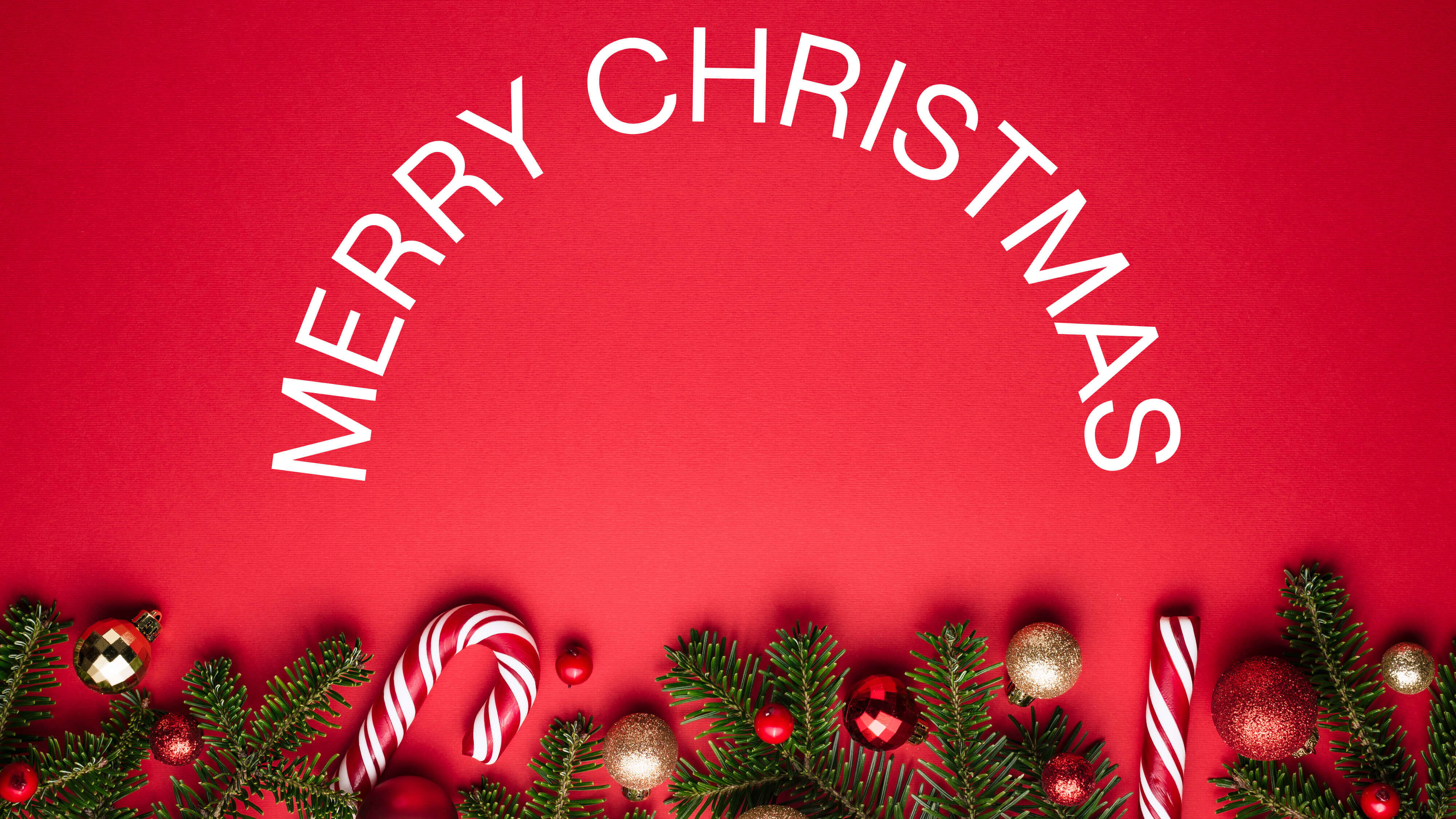 Không gian làm việc tràn ngập không khí lễ hội