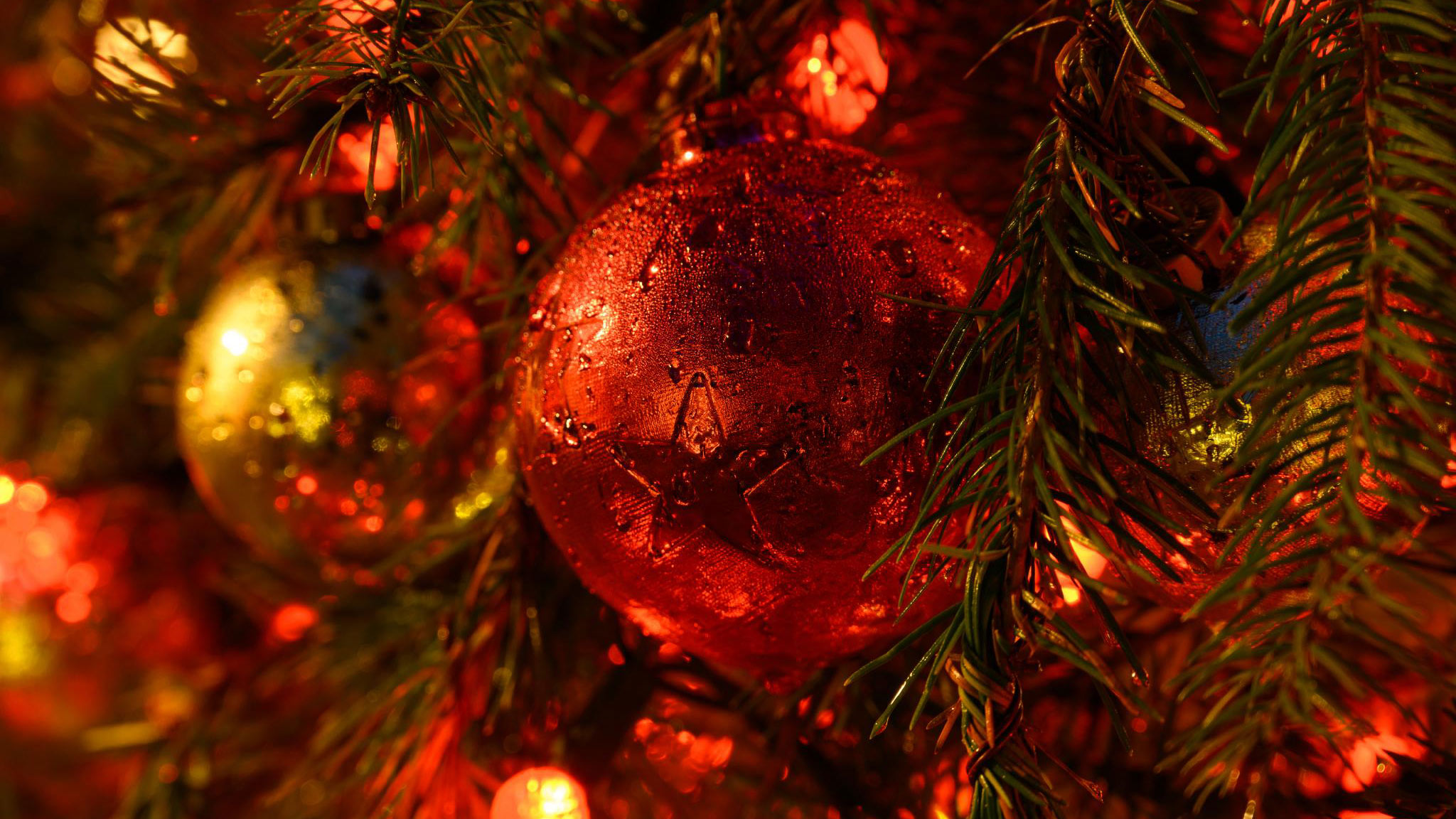 Không gian làm việc tràn ngập không khí lễ hội