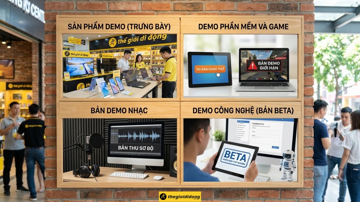 C&aacute;c loại hình Demo ph&ocirc;̉ bi&ecirc;́n