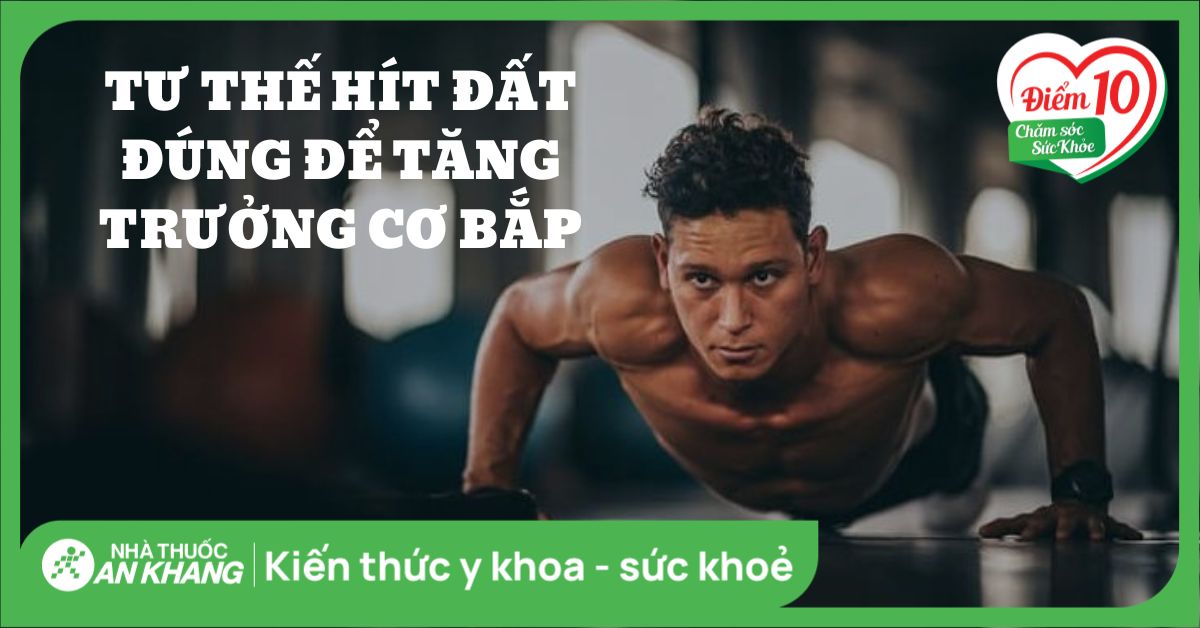 Tư thế hít đất đúng cách hiệu quả nhất giúp phát triển cơ bắp