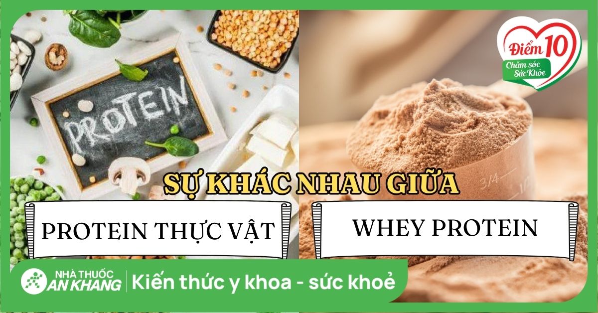 Protein thực vật khác whey protein như thế nào? Loại nào tốt hơn?