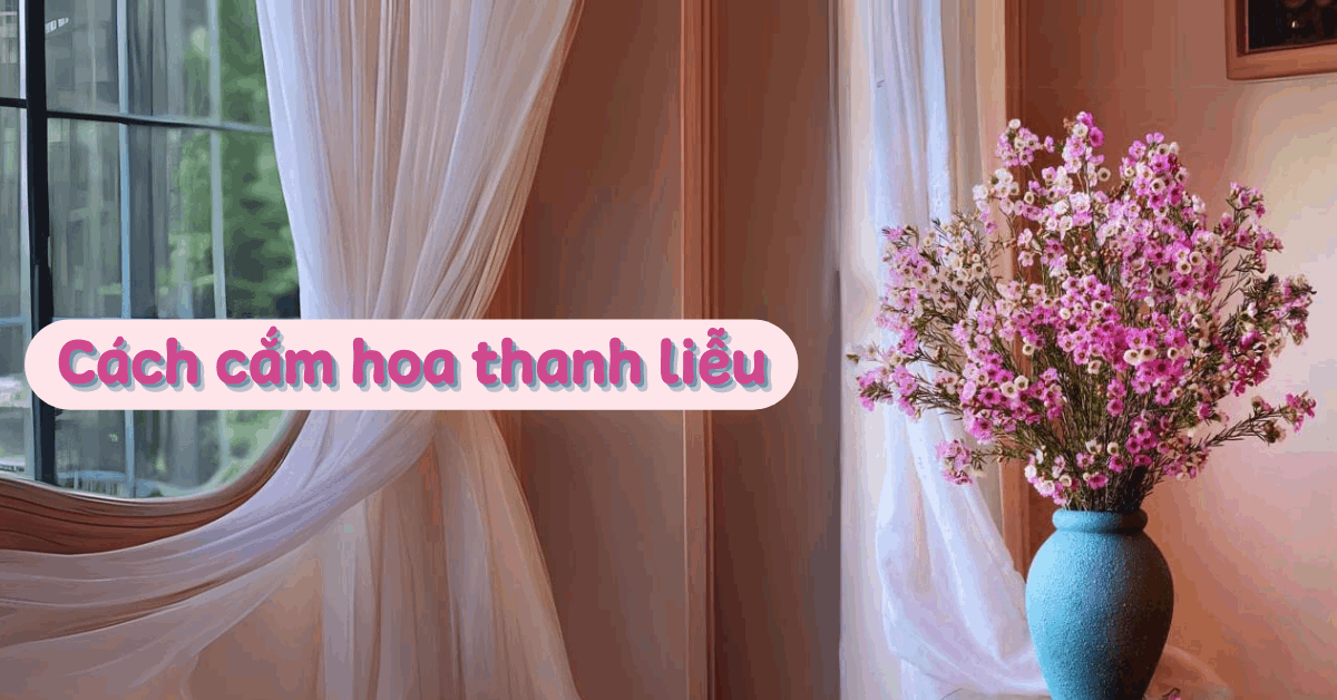 Cách cắm hoa thanh liễu đẹp, tươi lâu, đơn giản, hot trend