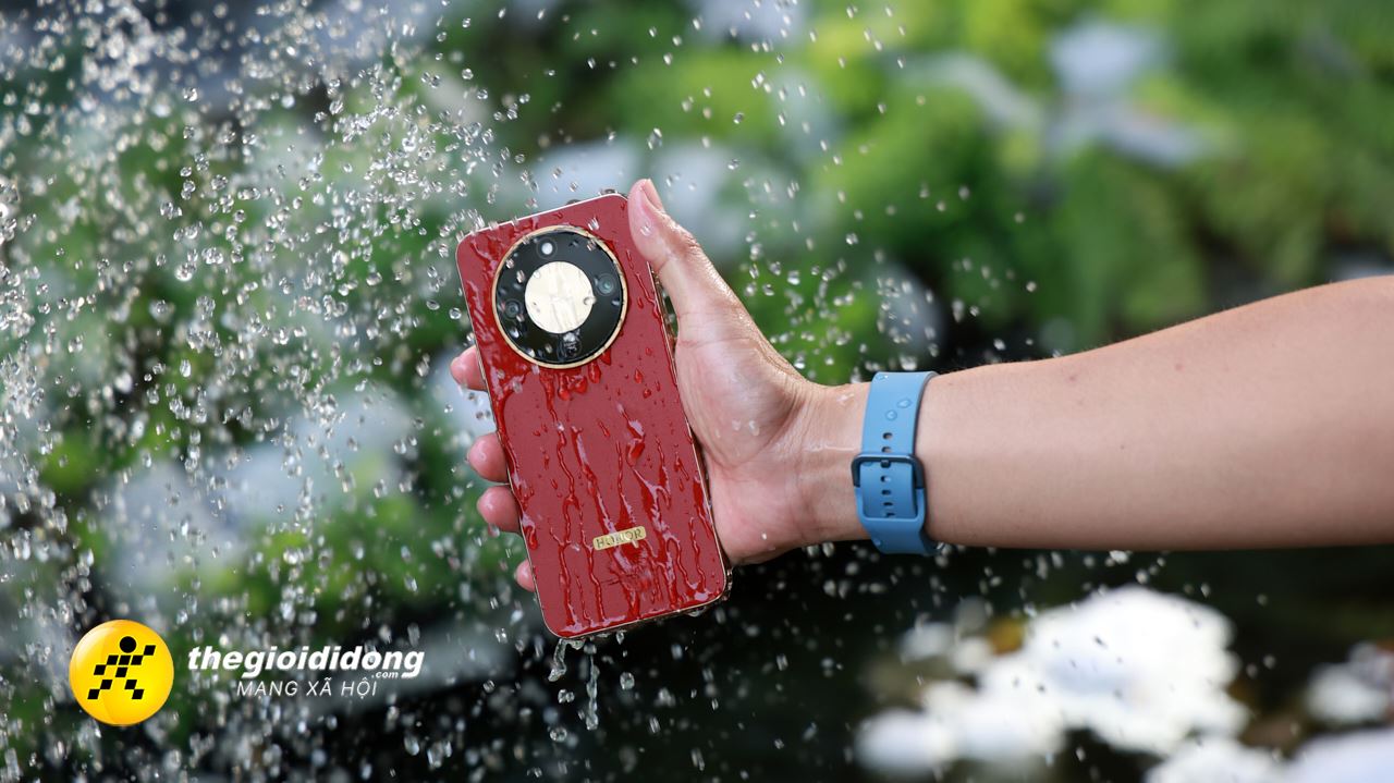 Pthes1639007184277335826