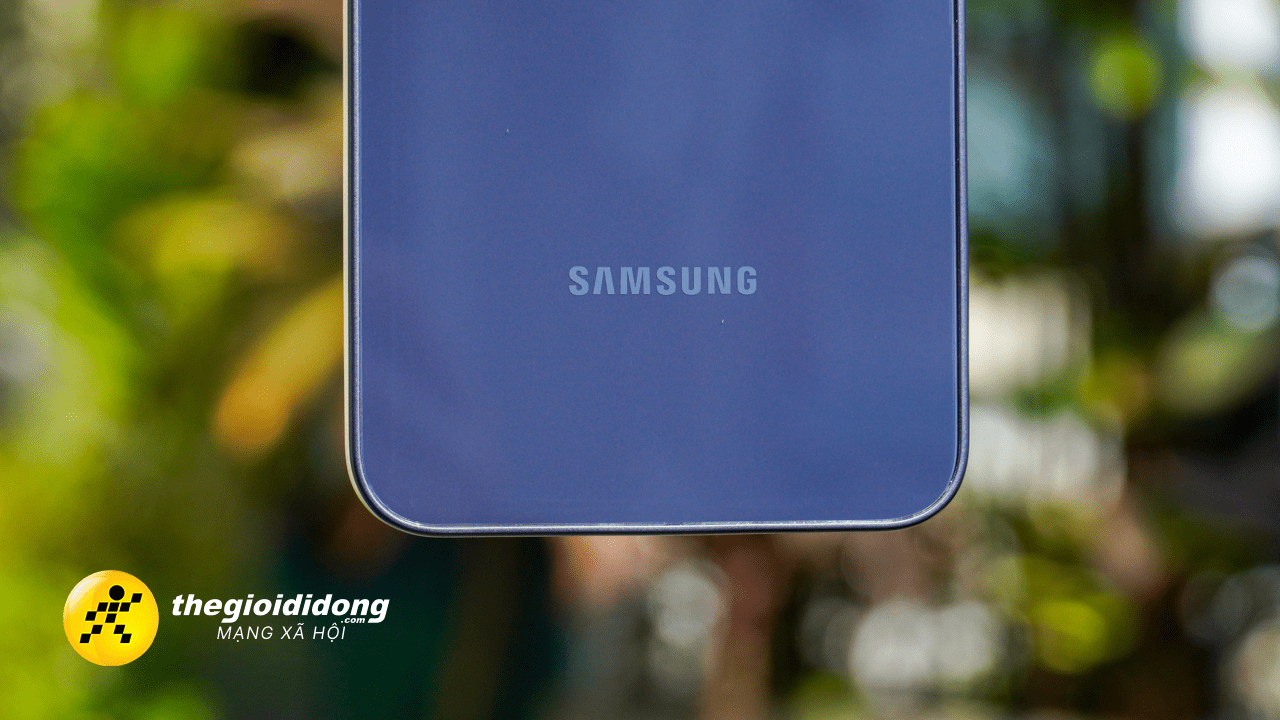 Dmlq639063232787928013