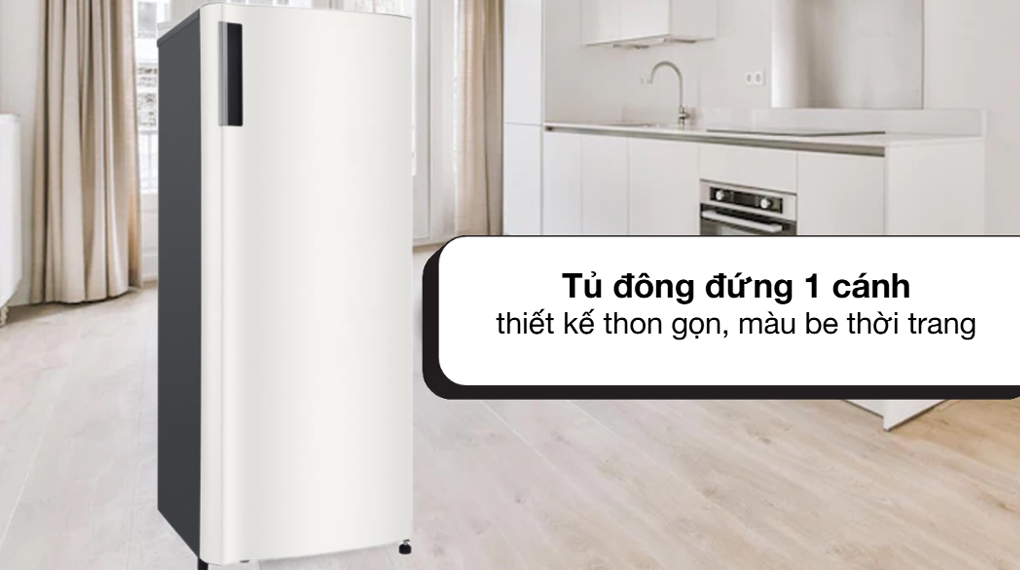 Thiết kế - Tủ đông LG Inverter 165 lít LOF16BGM