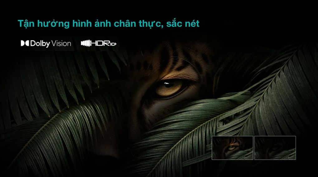 Smart Tivi QLED Hisense AI 4K 100 inch 100Q7N - Công nghệ hình ảnh Smart Tivi QLED Hisense AI 4K 100 inch 100Q7N - Công nghệ hình ảnh