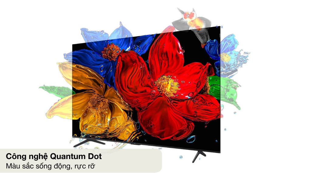 Google Tivi QLED TCL AI 4K 55 inch 55P7K - Công nghệ hình ảnh