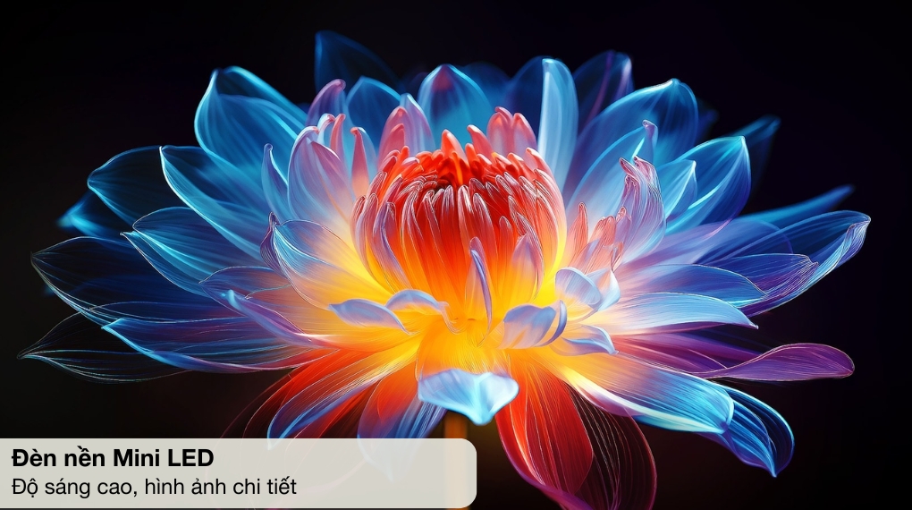 Smart Tivi QNED evo LG AI 4K 75 inch 75QNED86ASA - Công nghệ hình ảnh