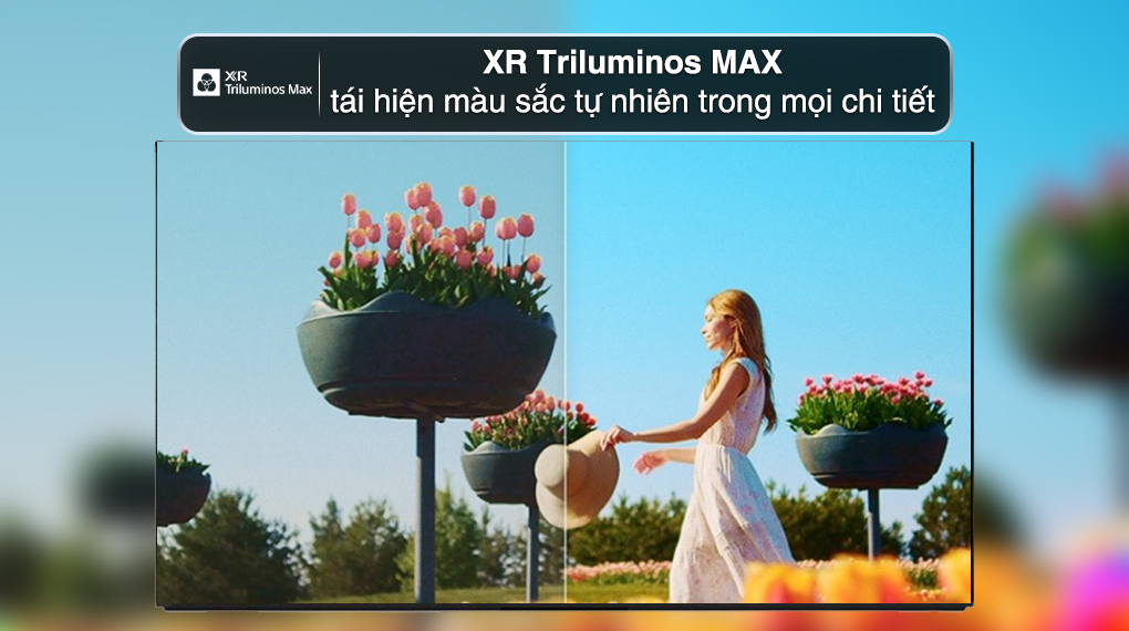 Google Tivi OLED Sony AI 4K 55 inch K-55XR80M2 - Công nghệ hình ảnh